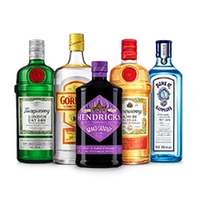Gin